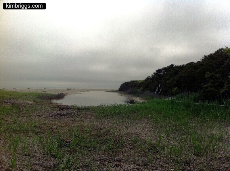01 chappaquiddick wasque beach