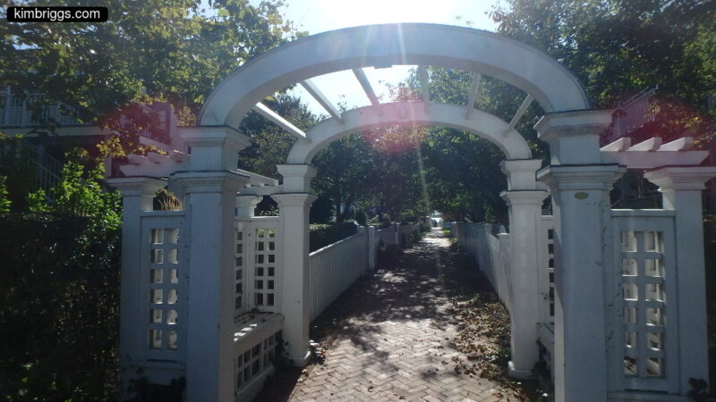 Wooden arch around garden walk