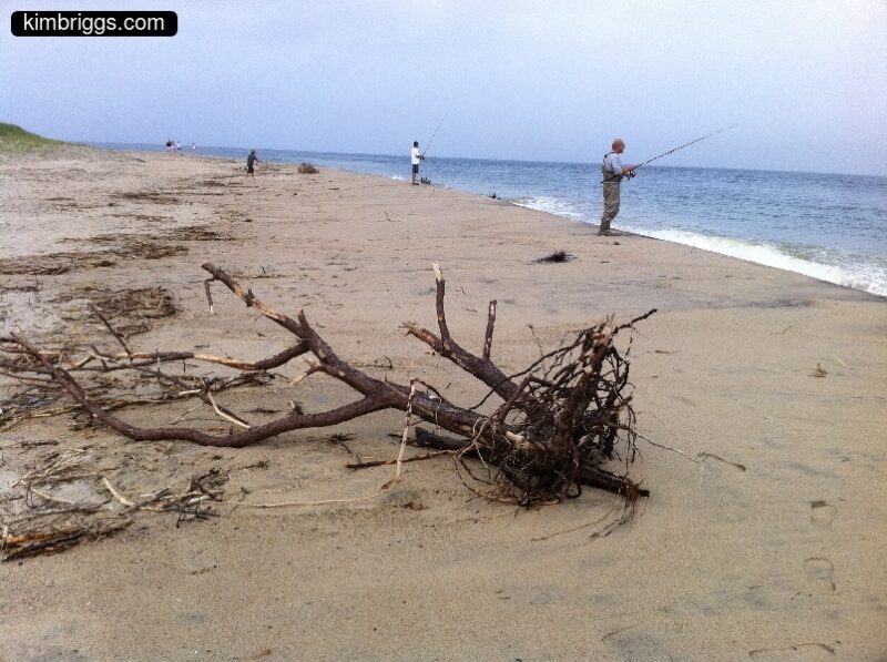 02 chappaquiddick wasque beach