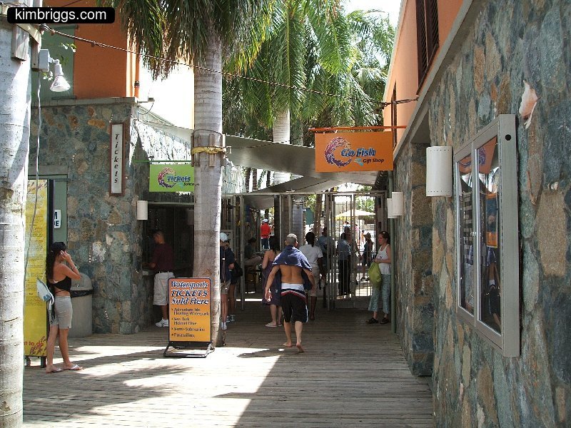 02 coral world st thomas