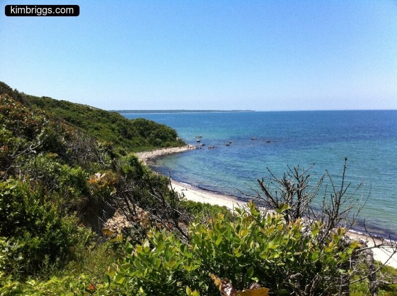 Green hill and calm ocean