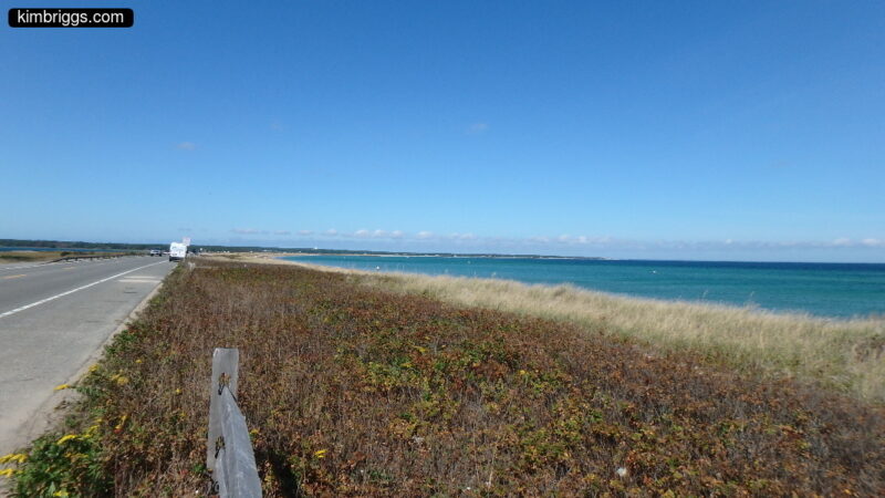 Joseph Sylvia beach along road