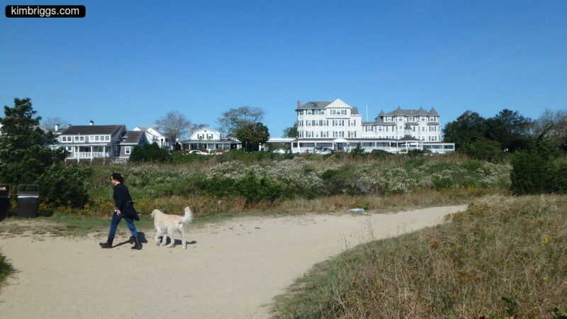 Woman walking dog on a beach