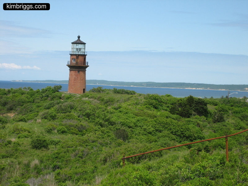Brick lighthouse on green hill.