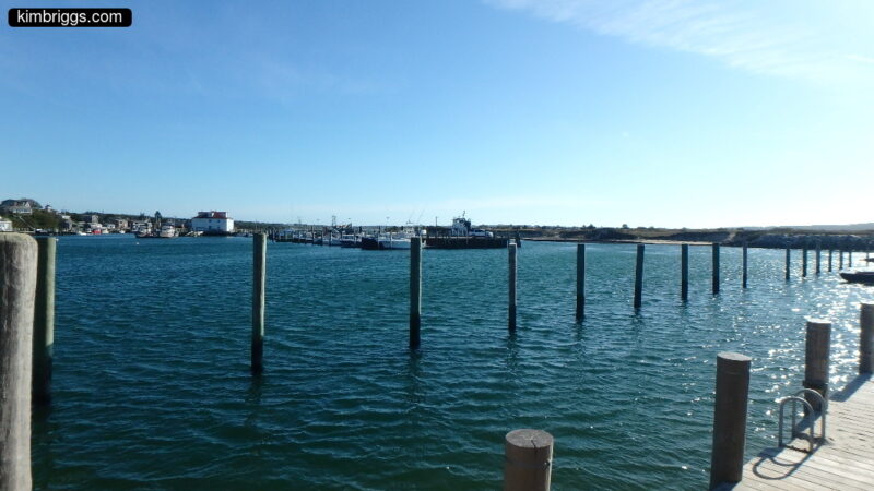 Wooden pilings near dock.