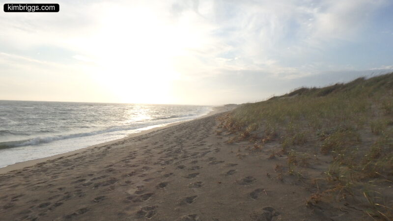 Footprints on beach at sunset.