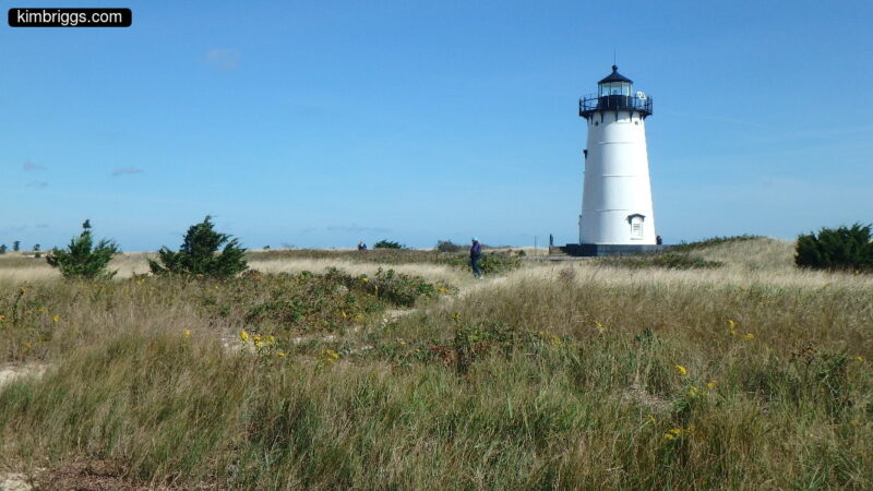 Small lighthouse on grassy beach