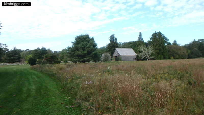 Meadow with barn in background.