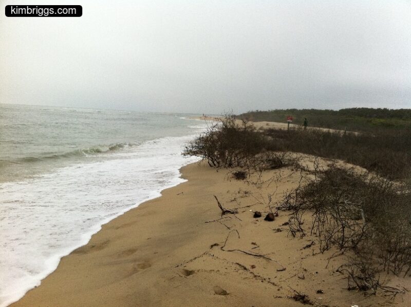 04 chappaquiddick wasque beach