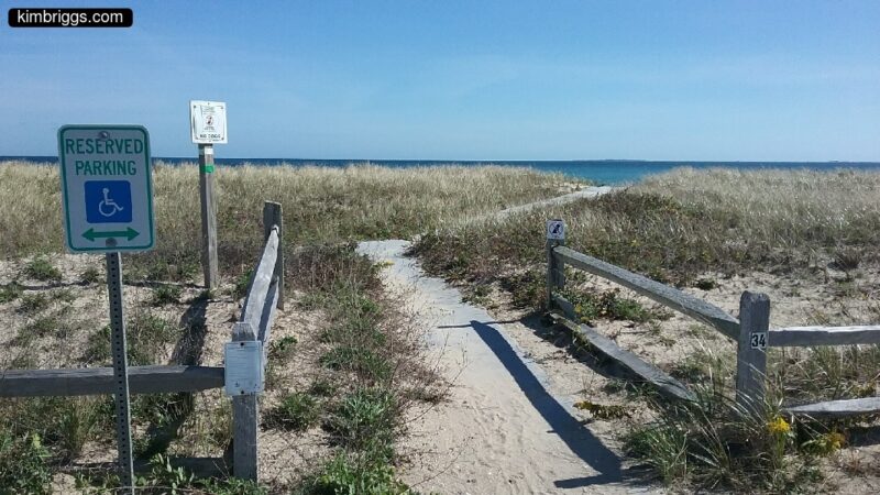 Beach entrance with shore grass