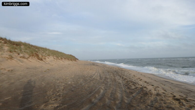 Katama Beach and sand dune.