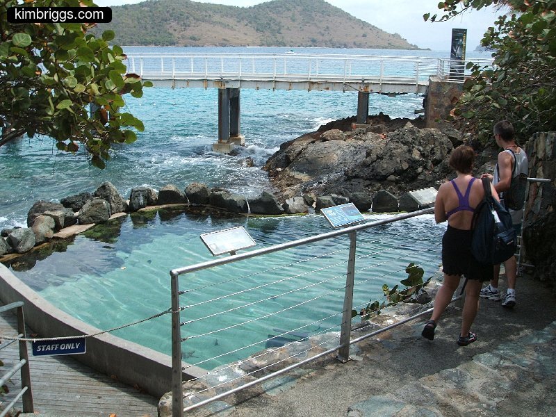 05 coral world st thomas