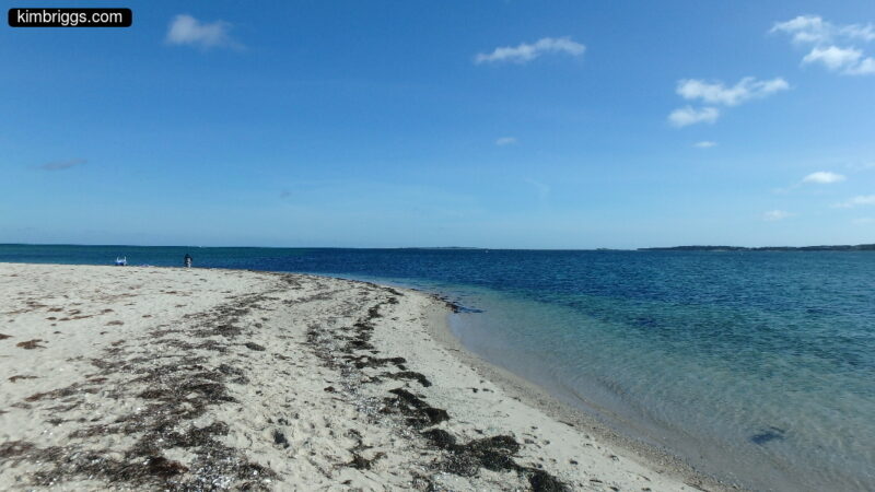 Sandy beach with seaweed