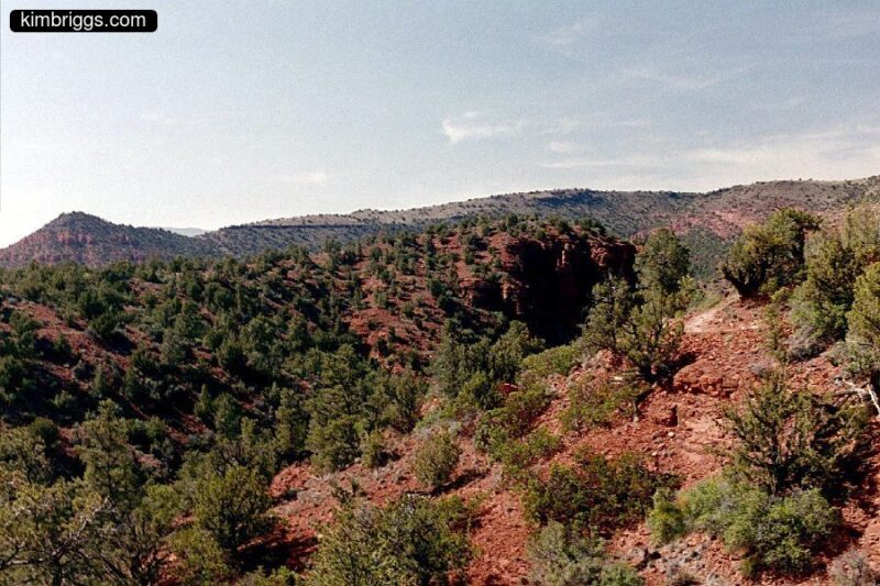 Rolling desert hills with green brush.