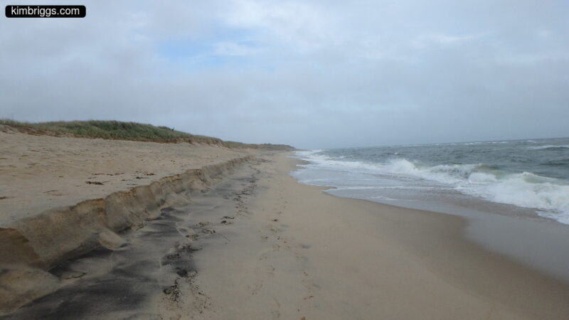 Large sandy beach on ocean with no people.
