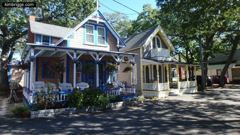 Small and fancy Victorian houses