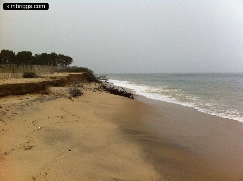 06 chappaquiddick wasque beach