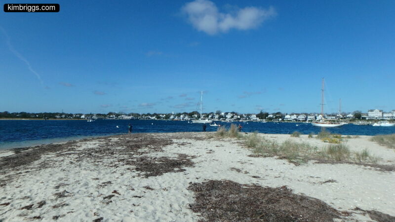 New England beach with seaweed, boats and houses