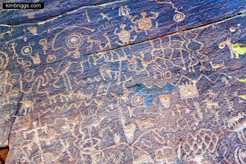 Crowded petroglyphs at V-bar-V ranch.