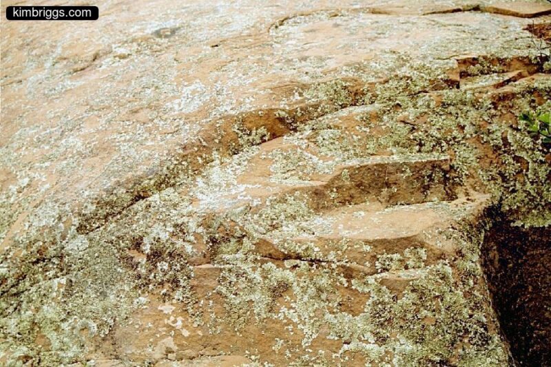 Brown rock with lichens.