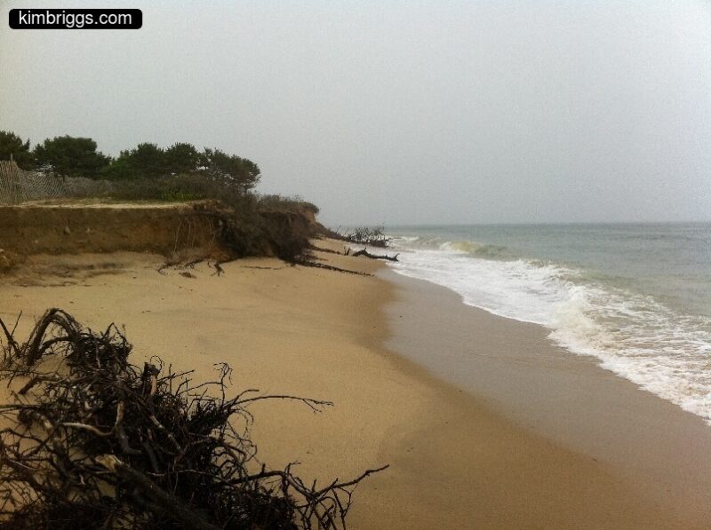 07 chappaquiddick wasque beach