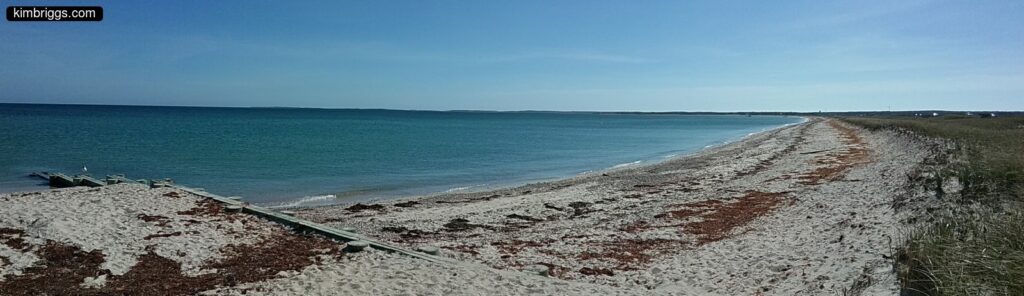 07 joseph sylvia state beach