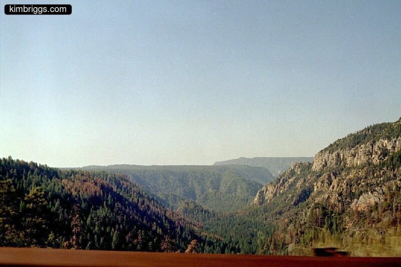 Arizona valley with trees and rock cliffs.