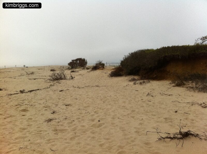 08 chappaquiddick wasque beach