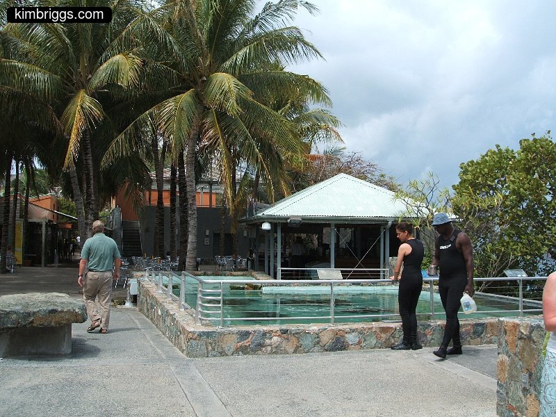 08 coral world st thomas