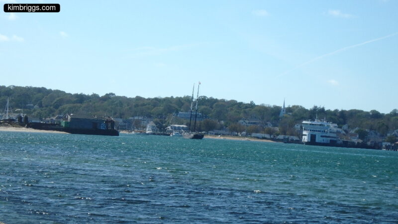car ferry at dock in distance