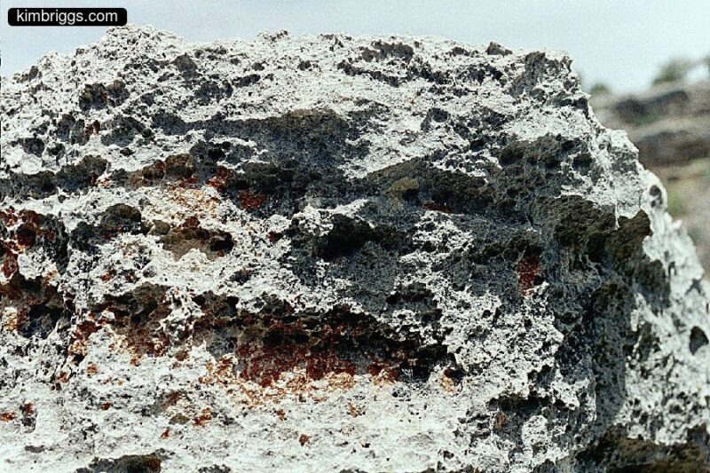 CLose up of desert rock.