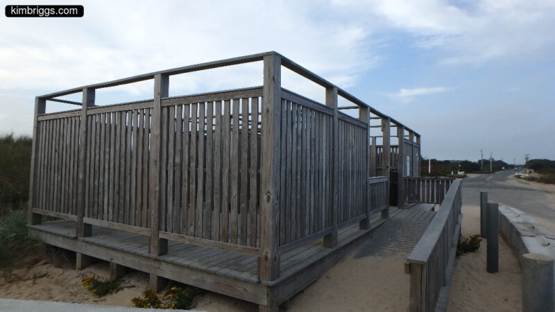 Grey weathered wood fencing.