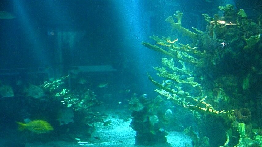 10 disney world epcot futureworld seas 850