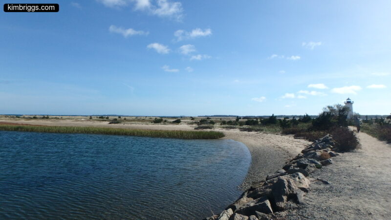 Penninsula beach with grasses and rock breakwater.