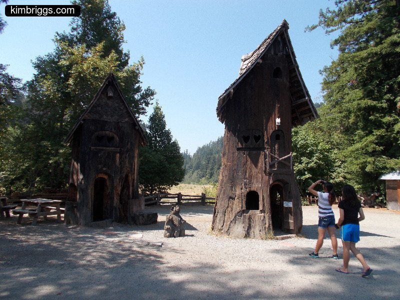 Tree forts made of redwood trunks.