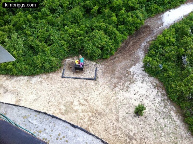 sand and brush from above