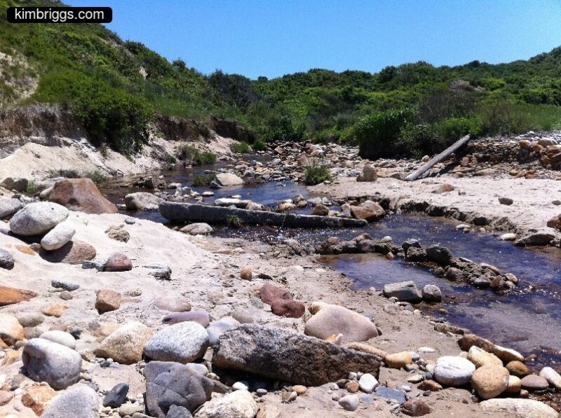 Rocky beach with tidal pool