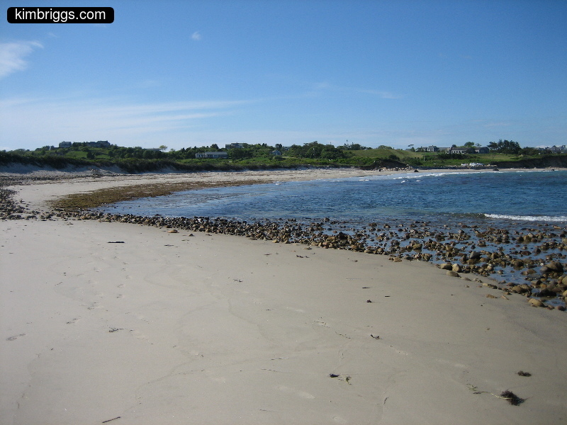 Sandy beach with seaweed and treelined shore.