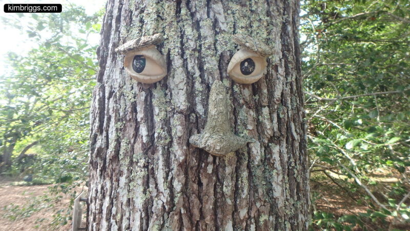 Cartoon face on real tree.