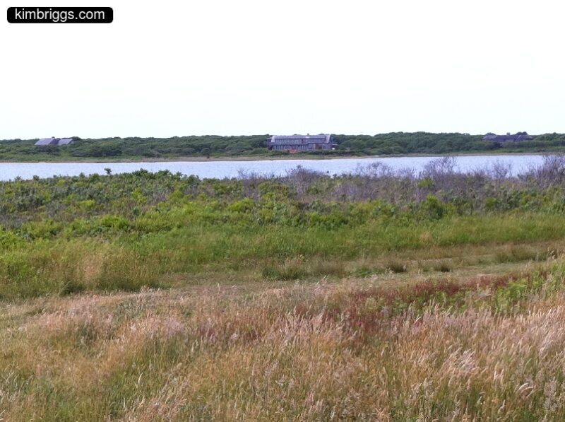 Brown and green grass in front of small bay.