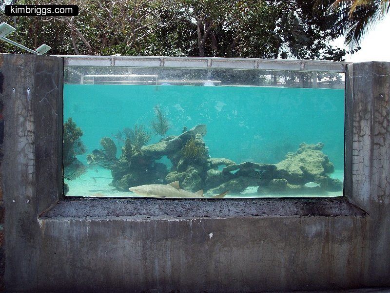 12 coral world st thomas