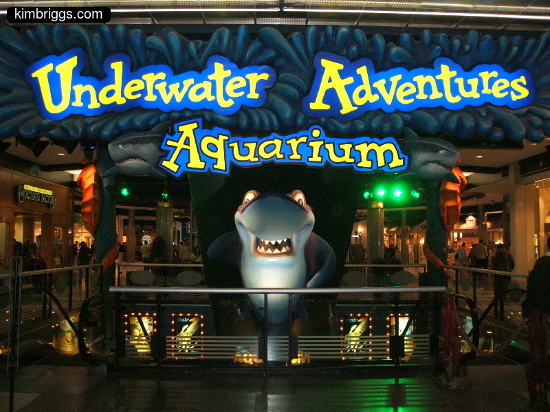Sea Life Aquarium - Underwater Adventures