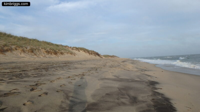Black and white sands on ocean beach.