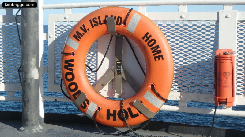 Orange life saver on boat.