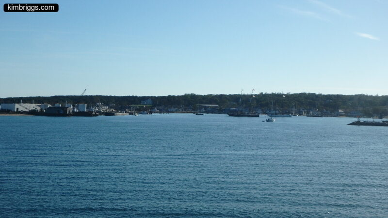Shoreline of trees and boats.