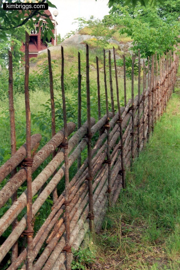 Primitive fence made of tree branches.