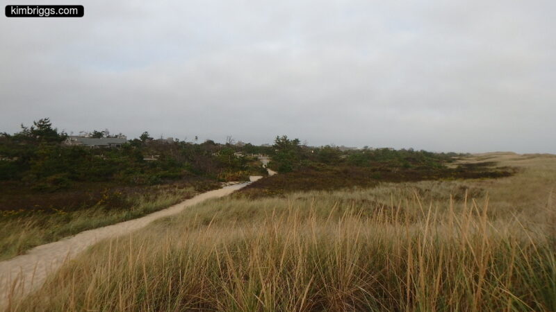 16 south beach marthas vineyard