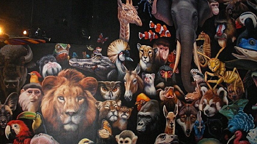 17 disney world animal kingdom planet watch 850