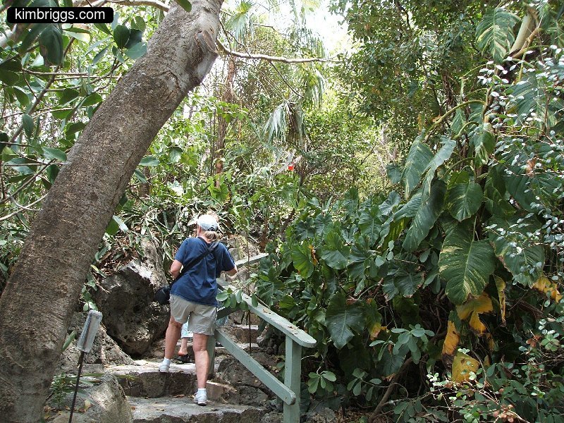 18 coral world st thomas