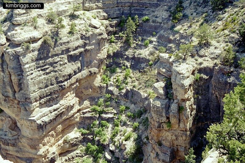 Sheer white rock cliff with green brush.